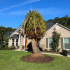 Tree trimming palm coast fl